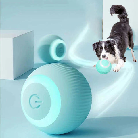 AutoFetch Electric Self-Moving Pet Ball Toy